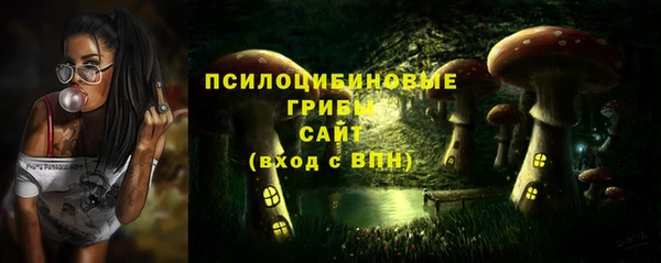 PSILOCYBIN Баксан