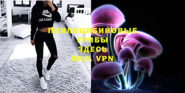 PSILOCYBIN Баксан