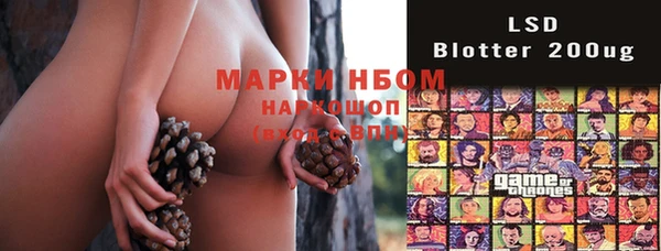 PSILOCYBIN Баксан
